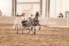 ete's Photography - Equine photography of various equine events at the Ancaster Fair including riding, driving, single carts and six draft horse hitches.