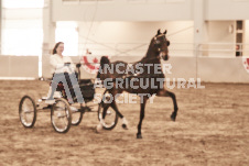 ete's Photography - Equine photography of various equine events at the Ancaster Fair including riding, driving, single carts and six draft horse hitches.