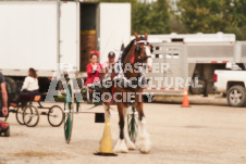 ete's Photography - Equine photography of various equine events at the Ancaster Fair including riding, driving, single carts and six draft horse hitches.