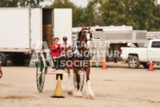 ete's Photography - Equine photography of various equine events at the Ancaster Fair including riding, driving, single carts and six draft horse hitches.