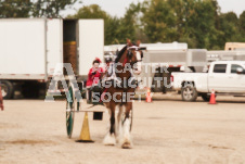 ete's Photography - Equine photography of various equine events at the Ancaster Fair including riding, driving, single carts and six draft horse hitches.