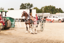 ete's Photography - Equine photography of various equine events at the Ancaster Fair including riding, driving, single carts and six draft horse hitches.