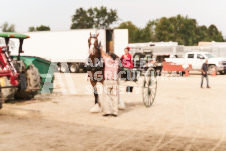 ete's Photography - Equine photography of various equine events at the Ancaster Fair including riding, driving, single carts and six draft horse hitches.