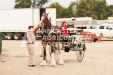 ete's Photography - Equine photography of various equine events at the Ancaster Fair including riding, driving, single carts and six draft horse hitches.