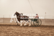 ete's Photography - Equine photography of various equine events at the Ancaster Fair including riding, driving, single carts and six draft horse hitches.