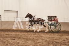 ete's Photography - Equine photography of various equine events at the Ancaster Fair including riding, driving, single carts and six draft horse hitches.