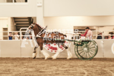 ete's Photography - Equine photography of various equine events at the Ancaster Fair including riding, driving, single carts and six draft horse hitches.