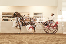 ete's Photography - Equine photography of various equine events at the Ancaster Fair including riding, driving, single carts and six draft horse hitches.