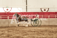 ete's Photography - Equine photography of various equine events at the Ancaster Fair including riding, driving, single carts and six draft horse hitches.