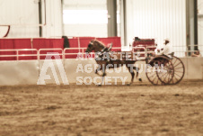 ete's Photography - Equine photography of various equine events at the Ancaster Fair including riding, driving, single carts and six draft horse hitches.