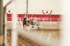 ete's Photography - Equine photography of various equine events at the Ancaster Fair including riding, driving, single carts and six draft horse hitches.