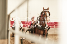 ete's Photography - Equine photography of various equine events at the Ancaster Fair including riding, driving, single carts and six draft horse hitches.