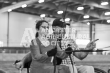 ete's Photography - Equine photography of various equine events at the Ancaster Fair including riding, driving, single carts and six draft horse hitches.