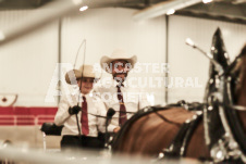 ete's Photography - Equine photography of various equine events at the Ancaster Fair including riding, driving, single carts and six draft horse hitches.