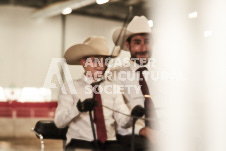 ete's Photography - Equine photography of various equine events at the Ancaster Fair including riding, driving, single carts and six draft horse hitches.