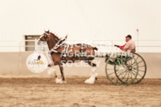 ete's Photography - Equine photography of various equine events at the Ancaster Fair including riding, driving, single carts and six draft horse hitches.