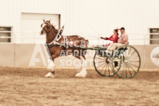 ete's Photography - Equine photography of various equine events at the Ancaster Fair including riding, driving, single carts and six draft horse hitches.