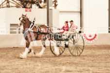 ete's Photography - Equine photography of various equine events at the Ancaster Fair including riding, driving, single carts and six draft horse hitches.