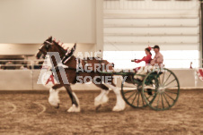 ete's Photography - Equine photography of various equine events at the Ancaster Fair including riding, driving, single carts and six draft horse hitches.