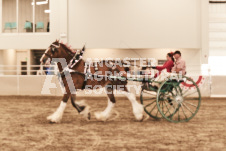 ete's Photography - Equine photography of various equine events at the Ancaster Fair including riding, driving, single carts and six draft horse hitches.