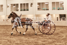 ete's Photography - Equine photography of various equine events at the Ancaster Fair including riding, driving, single carts and six draft horse hitches.