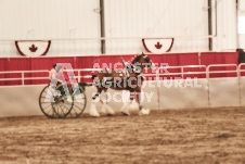 ete's Photography - Equine photography of various equine events at the Ancaster Fair including riding, driving, single carts and six draft horse hitches.