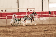 ete's Photography - Equine photography of various equine events at the Ancaster Fair including riding, driving, single carts and six draft horse hitches.