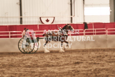 ete's Photography - Equine photography of various equine events at the Ancaster Fair including riding, driving, single carts and six draft horse hitches.