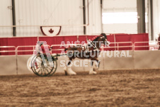 ete's Photography - Equine photography of various equine events at the Ancaster Fair including riding, driving, single carts and six draft horse hitches.