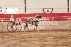 ete's Photography - Equine photography of various equine events at the Ancaster Fair including riding, driving, single carts and six draft horse hitches.