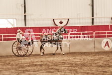 ete's Photography - Equine photography of various equine events at the Ancaster Fair including riding, driving, single carts and six draft horse hitches.