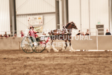 ete's Photography - Equine photography of various equine events at the Ancaster Fair including riding, driving, single carts and six draft horse hitches.