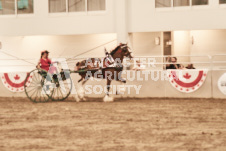 ete's Photography - Equine photography of various equine events at the Ancaster Fair including riding, driving, single carts and six draft horse hitches.