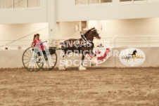 ete's Photography - Equine photography of various equine events at the Ancaster Fair including riding, driving, single carts and six draft horse hitches.