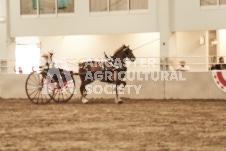 ete's Photography - Equine photography of various equine events at the Ancaster Fair including riding, driving, single carts and six draft horse hitches.