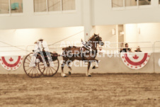 ete's Photography - Equine photography of various equine events at the Ancaster Fair including riding, driving, single carts and six draft horse hitches.