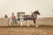 ete's Photography - Equine photography of various equine events at the Ancaster Fair including riding, driving, single carts and six draft horse hitches.