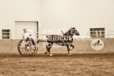 ete's Photography - Equine photography of various equine events at the Ancaster Fair including riding, driving, single carts and six draft horse hitches.