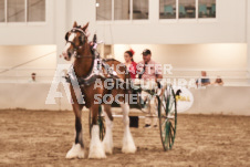 ete's Photography - Equine photography of various equine events at the Ancaster Fair including riding, driving, single carts and six draft horse hitches.