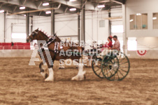 ete's Photography - Equine photography of various equine events at the Ancaster Fair including riding, driving, single carts and six draft horse hitches.