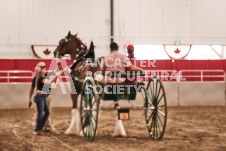 ete's Photography - Equine photography of various equine events at the Ancaster Fair including riding, driving, single carts and six draft horse hitches.