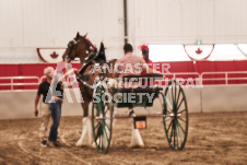 ete's Photography - Equine photography of various equine events at the Ancaster Fair including riding, driving, single carts and six draft horse hitches.