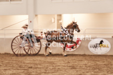 ete's Photography - Equine photography of various equine events at the Ancaster Fair including riding, driving, single carts and six draft horse hitches.