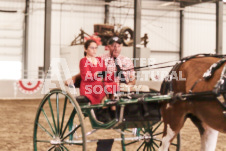 ete's Photography - Equine photography of various equine events at the Ancaster Fair including riding, driving, single carts and six draft horse hitches.