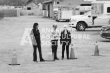 ete's Photography - Equine photography of various equine events at the Ancaster Fair including riding, driving, single carts and six draft horse hitches.