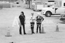 ete's Photography - Equine photography of various equine events at the Ancaster Fair including riding, driving, single carts and six draft horse hitches.