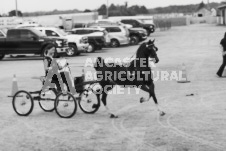 ete's Photography - Equine photography of various equine events at the Ancaster Fair including riding, driving, single carts and six draft horse hitches.