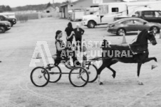 ete's Photography - Equine photography of various equine events at the Ancaster Fair including riding, driving, single carts and six draft horse hitches.