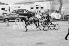 ete's Photography - Equine photography of various equine events at the Ancaster Fair including riding, driving, single carts and six draft horse hitches.