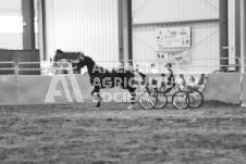 ete's Photography - Equine photography of various equine events at the Ancaster Fair including riding, driving, single carts and six draft horse hitches.